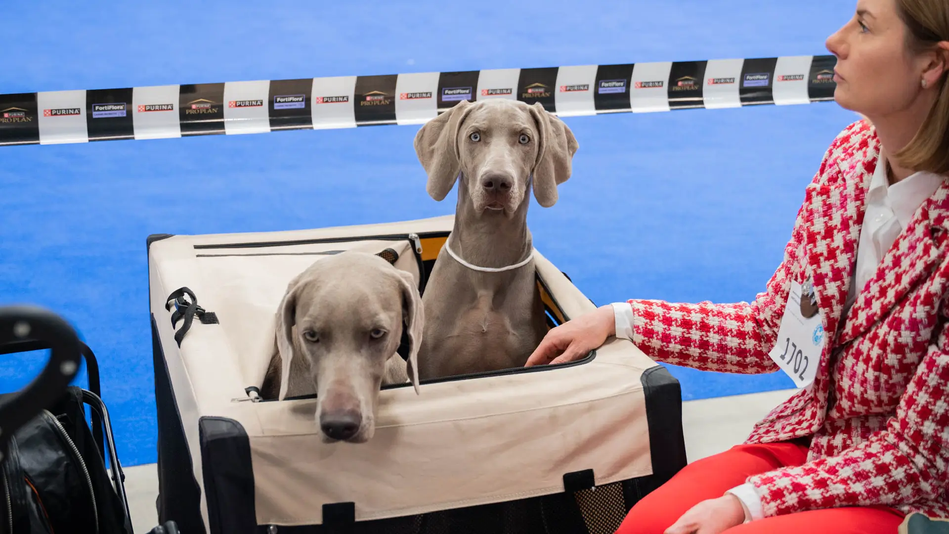 Animals’ & Veterinary Days – Zoological and Veterinary Fair Event May 15–17 2026